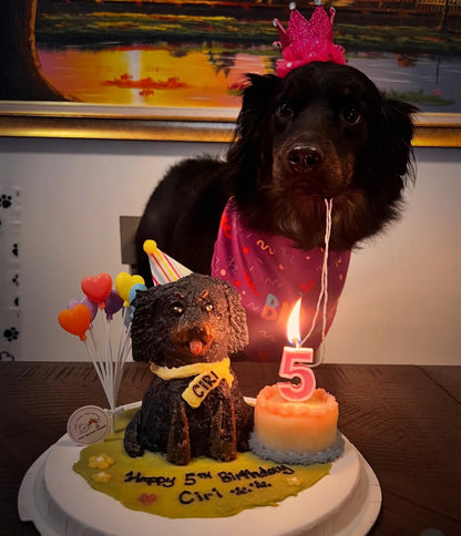 Black Mutt Doggy Full Body Cake (Customizable) - Pets Delight Bakery Pte Ltd