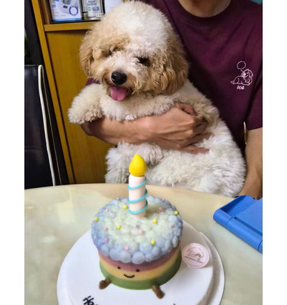 Custom Dog/Cat Pets Jelly Cat Cake - Pets Delight Bakery Pte Ltd