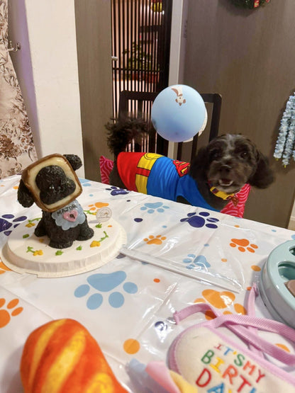 Full Body Bread Dog Cake (Customizable) - Pets Delight Bakery Pte Ltd