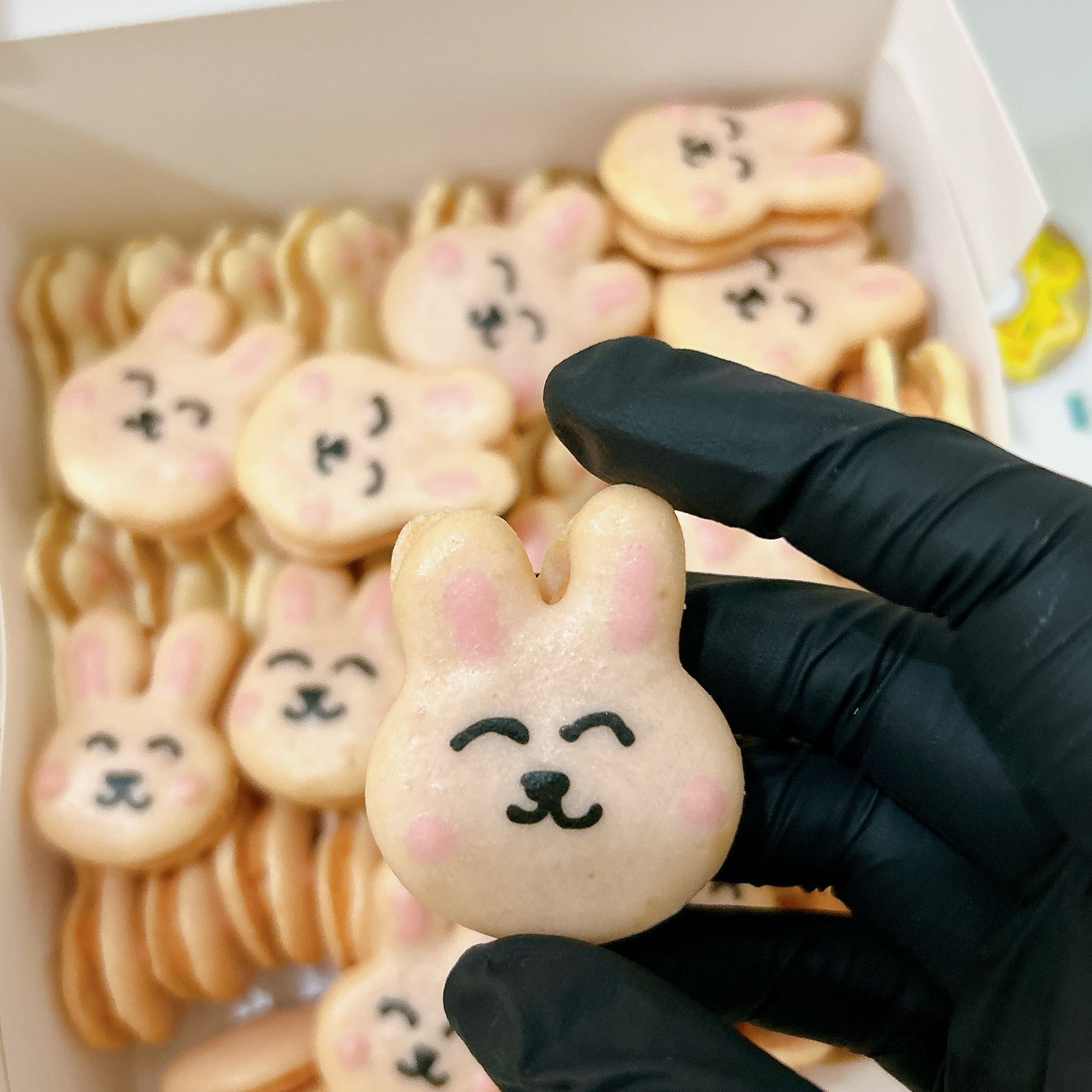 Happy Easter Pet Treats Gift Box (with toy) - Pets Delight Bakery Pte Ltd