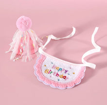 Pawty hat and bib Set - Pets Delight Bakery Pte Ltd