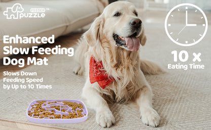 Pets Welcome Home/HBD/ Gotcha Day Bundle Set - Pets Delight Bakery Pte Ltd