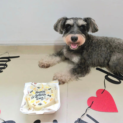 Pets Welcome Home/HBD/ Gotcha Day Bundle Set - Pets Delight Bakery Pte Ltd