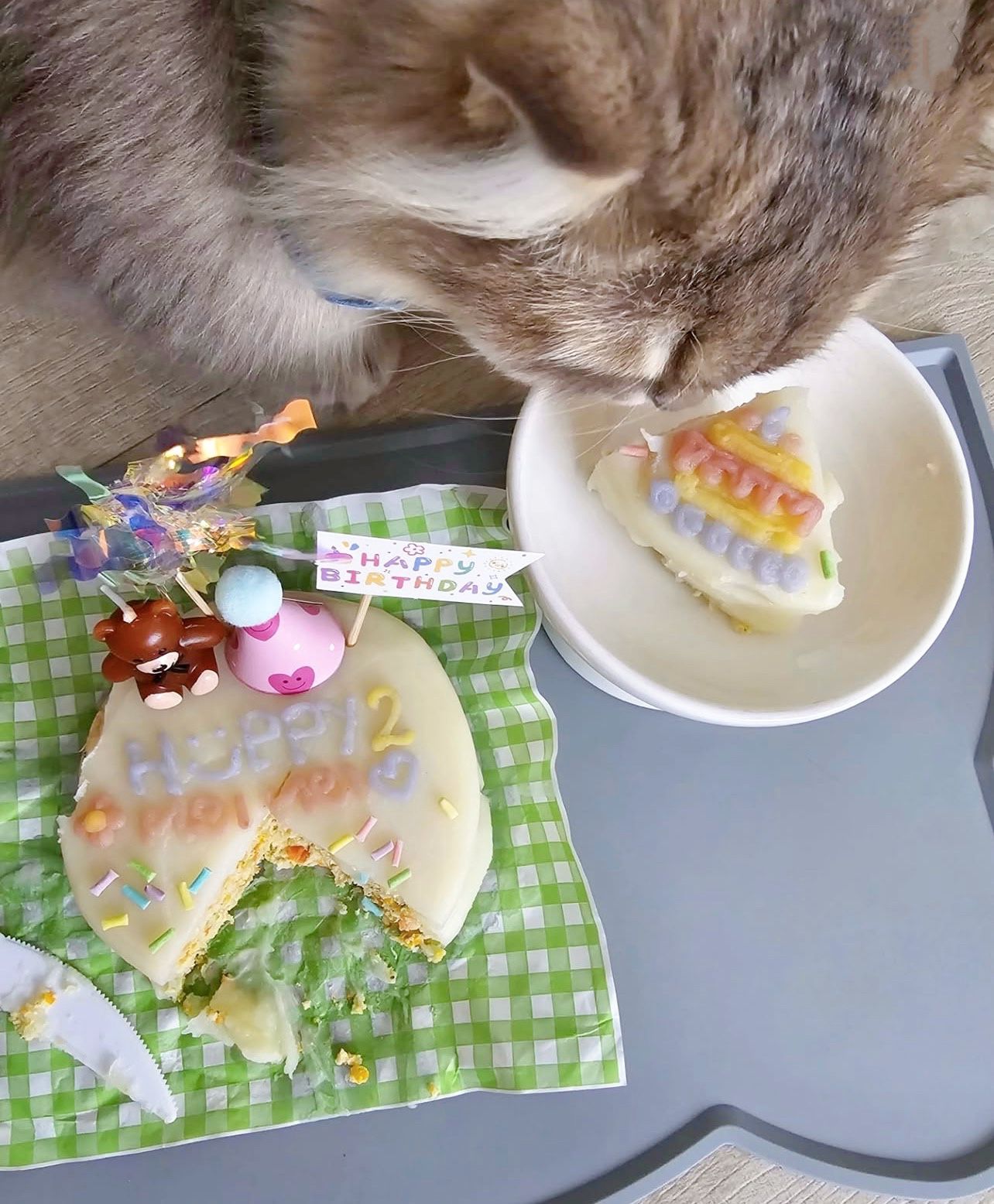 Playful Pets DIY Cake Kit - Pets Delight Bakery Pte Ltd