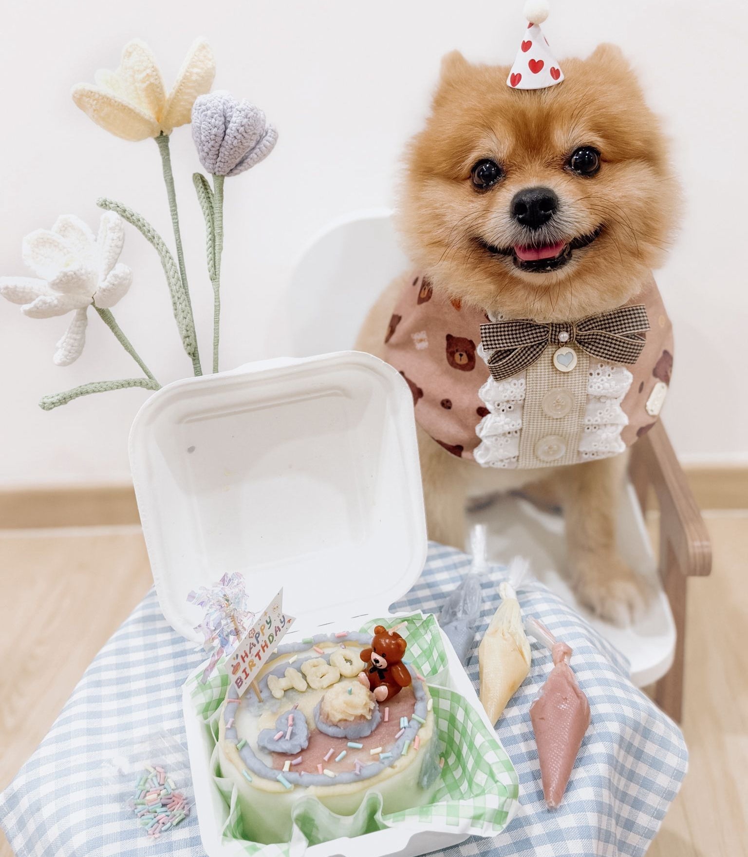 Playful Pets DIY Cake Kit - Pets Delight Bakery Pte Ltd