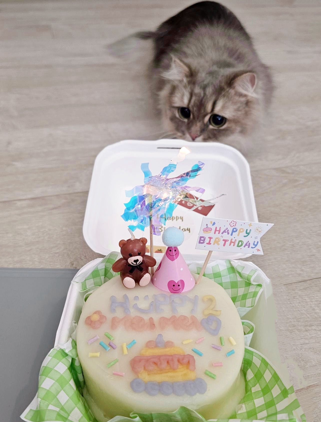 Playful Pets DIY Cake Kit - Pets Delight Bakery Pte Ltd