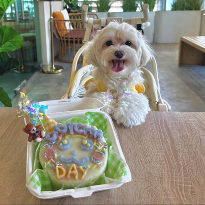 Playful Pets DIY Cake Kit - Pets Delight Bakery Pte Ltd