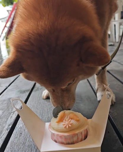 Simple Door Gift Pupcake - Pets Delight Bakery Pte Ltd